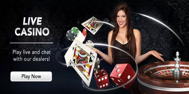 Live casino cược vui thắng lớn