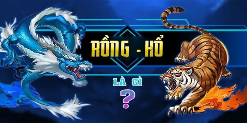 Đôi nét game Rồng Hổ SHBET